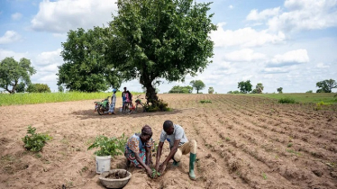 African youth unite to regreen the Sahel