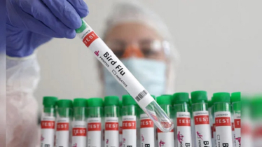 Bird flu mutated inside US patient, raising concern