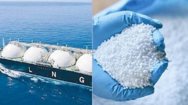 Govt to procure 1 cargo LNG, 1,30,000 MTs of fertilizer