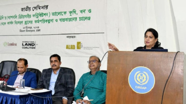 Forests, wetlands to be included in new NDC : Rizwana