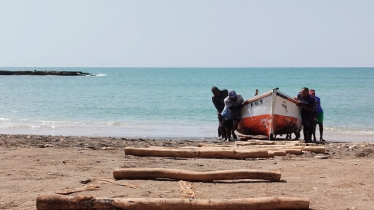 ‘Shifting baselines’ in Cabo Verde after 50 years of declining fish stocks