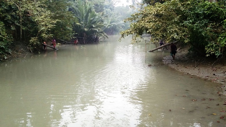 পিরোজপুরে ইন্দুরকানীতে খালে বিষ দিয়ে মাছ শিকার