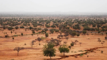 Actions are multiplying for the Great Green Wall initiative