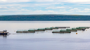 As aquaculture hits historic highs, let’s ensure sustainability is prioritized (commentary)