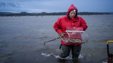 In northern Spain, climate change is killing shellfish — and women’s livelihoods