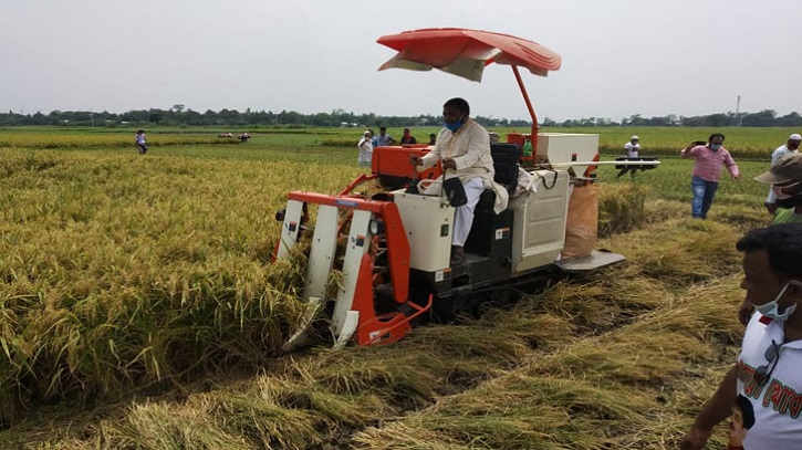 কম্বাইন হারভেস্টারের মাধ্যমে দেশের ১৮ ভাগ জমির ধান কর্তনের আওতায়