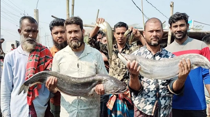 যে বাজারে তিন ঘন্টায় বিক্রি হয় ৩০ লাখ টাকার মাছ