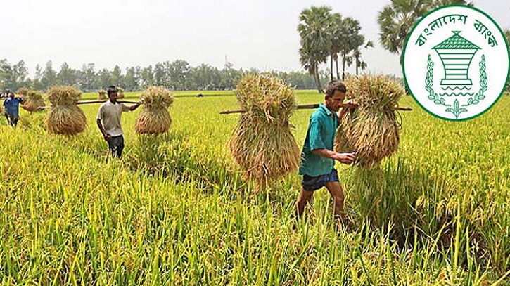 কৃষি খাতে খেলাপি ঋণের পরিমাণ ৪ হাজার ৩৩৬ কোটি টাকা