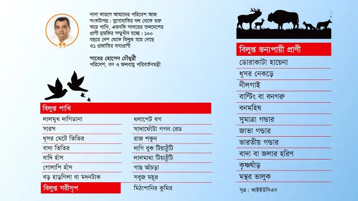 আবাসস্থল হারিয়ে দেশ থেকে বিলুপ্ত হয়েছে ৩১ প্রজাতির বন্যপ্রাণী