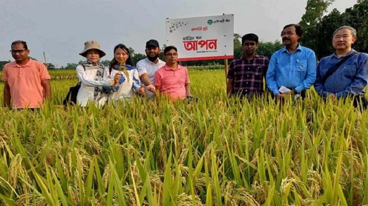 হাইব্রীড ‘আপন’ জাতের ধান ক্ষেত পরিদর্শনে চীনা বিশেষজ্ঞ দল