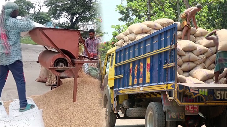 সারাদেশে শুরু হয়েছে সরকারিভাবে ধান-চাল সংগ্রহ