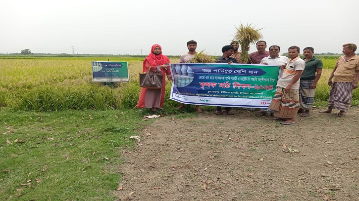 Climate resilient farming method being promoted in Barind area