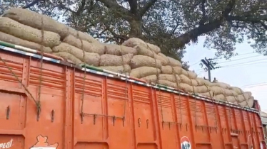 সোনামসজিদ দিয়ে আমদানি সাড়ে ৫ হাজার টন আলু-পেঁয়াজ