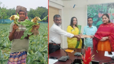 নিউজিম কীটনাশকে স্বপ্নভঙ্গ: ১৪ লাখ টাকা ক্ষতিপূরণ পেলেন কৃষকরা