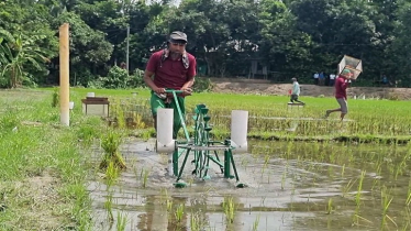 পরিবেশবান্ধব সার প্রয়োগযন্ত্রের উদ্ভাবন