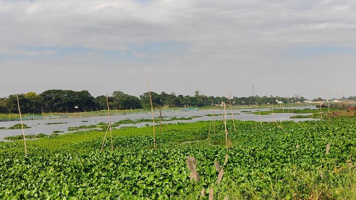 তিতাস নদীর ৪৫ কিলোমিটার এলাকায় কয়েকশ অবৈধ ঘের