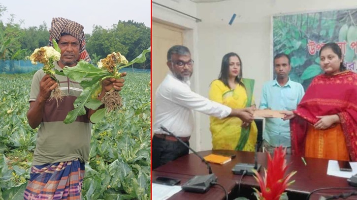 নিউজিম কীটনাশকে স্বপ্নভঙ্গ: ১৪ লাখ টাকা ক্ষতিপূরণ পেলেন কৃষকরা