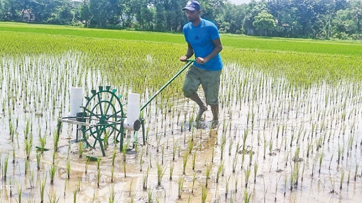 BRRI introduces urea fertiliser applicator for sustainable agriculture