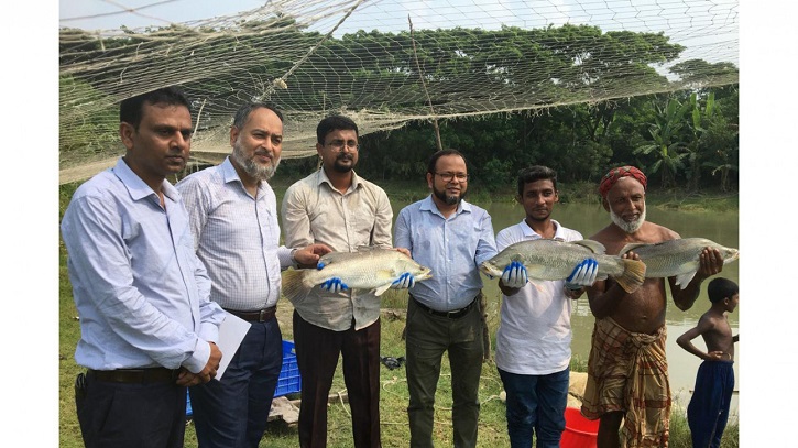 Artificial feeding boosts coral fish farming