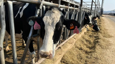 KDA rescinds Kansas Lactating Dairy Cattle Order