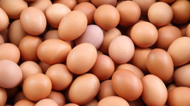 Eggs at affordable prices in Dhaka from today