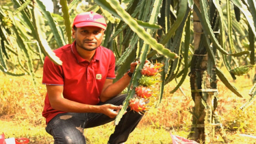 Himel’s mixed orchard becomes a local inspiration