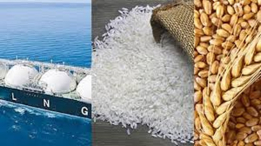 Govt. to procure 2 cargos LNG, 1,90,000 MTs fertilizer, 50,000 MTs wheat