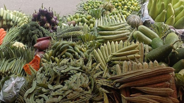 18 types of winter vegetables cultivated in Kishoreganj: officials