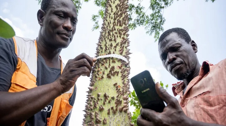 Put farmers first when scaling agroecology tech, say experts