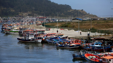 Debate over Chile’s fisheries law exposes industry influence on fish management