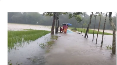 Low-lying areas of Sherpur flooded, three people drown