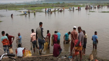 Burir Badh buzzed with group fishing in Thakurgaon