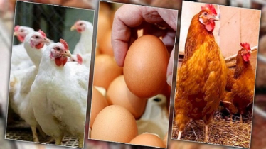 Govt fixes chicken, egg prices