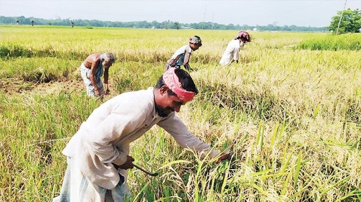 বৈষম্যই কি কৃষকের নিয়তি?