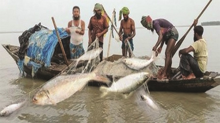 ৫৮ দিন ইলিশ ধরা ও বিক্রি বন্ধ রাখার নির্দেশ