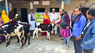 বাছুর হাতে ধরিয়ে ফটোসেশন: ডিম-খিচুড়ি খাইয়ে বিদায়, হতাশ দুঃস্থ নারীরা