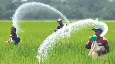 ইরি-বোরো মৌসুমের শুরুতেই সারের দাম চড়া