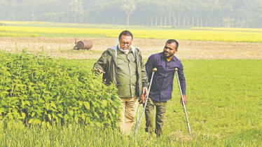 অচল পায়ে আক্কাছের কৃষি সাফল্য