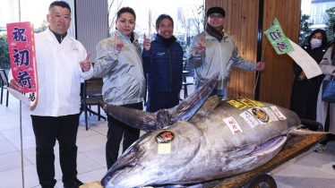 Buyer splashes out $1.3m for Tokyo new year tuna