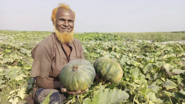 Early variety pumpkin brings smile to farmers