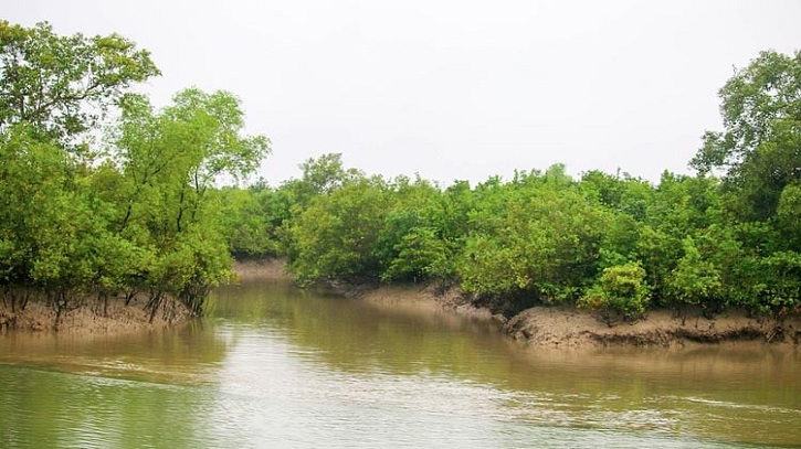 Sunderban famous for mangrove surroundings, all creeks and rivers