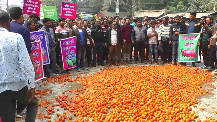 নাটোরে রাস্তায় টমেটো ফেলে কৃষকদের প্রতিবাদ 