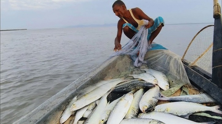 সামুদ্রে মাছ ধরায় ৫৮ দিনের নিষেধাজ্ঞা