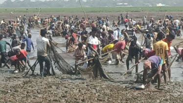 সুনামগঞ্জে এগারো বিলে ১০ কোটি টাকার মাছ লুট