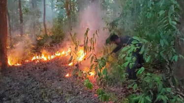 গারো পাহাড়ে প্রতিদিনই অগ্নিকাণ্ডের ঘটনা ঘটছে, হুমকিতে জীববৈচিত্র্য