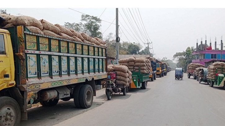 লক্ষ্যমাত্রার তুলনায় আলুর উৎপাদন বেশি, পাকুন্দিয়ায় হিমাগারে জায়গা সংকট