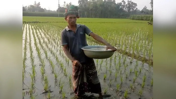 Boro cultivated on 1,27,560 hectares of land in Jamalpur